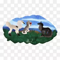 骆驼-动物-空若网 骆驼-动物-空若网