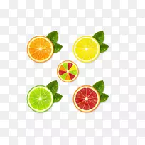 奥格里斯柠檬平板设计-柚子叶材料-空若网 奥格里斯柠檬平板设计-柚子叶材料-空若网