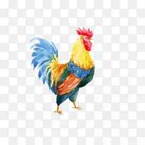 公鸡水彩画插图.手绘鸡-空若网 公鸡水彩画插图.手绘鸡-空若网