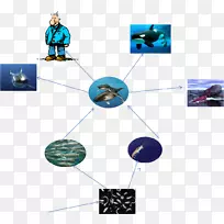 高科技珠宝首饰系列-食物链-空若网 高科技珠宝首饰系列-食物链-空若网