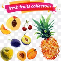 菠萝水彩画水果菠萝-空若网 菠萝水彩画水果菠萝-空若网