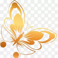 花瓣叶系开花植物插花艺术-空若网 花瓣叶系开花植物插花艺术-空若网