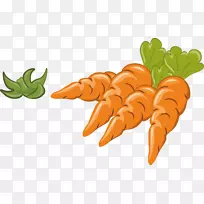 胡萝卜蔬菜插图-四个胡萝卜-空若网 胡萝卜蔬菜插图-四个胡萝卜-空若网