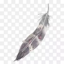 Óðëˮ²Ê».Óðë-¿ÕÈôÍø Óðëˮ²Ê».Óðë-¿ÕÈôÍø