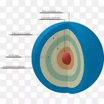 ����֬�������׼���С����RNA�߼���Һ�԰�-�߼�������ּ�-������