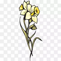 花型切花郁金香箭花-空若网 花型切花郁金香箭花-空若网