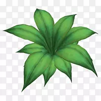 ��ľҶֲ�ﾥҶ-������