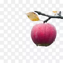 ƻ��ʳƷ��˾��ӣ��-������