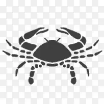 癌症占星术星座占星术-毛蟹礼盒-空若网 癌症占星术星座占星术-毛蟹礼盒-空若网