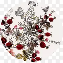 ˮ�ʻ������滭.ˮ�ʻ���װ��-������