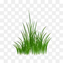 ����-�̲�-������