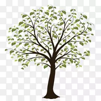 ��ľ������-��-������