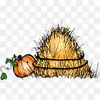 数字邦德蜂蜜拼图夹艺术节-空若网 数字邦德蜂蜜拼图夹艺术节-空若网