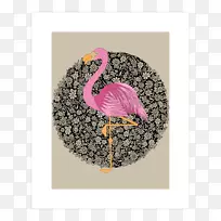 t恤袖上衣t恤-空若网 t恤袖上衣t恤-空若网