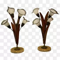 ����Ƶ����ִ��Ҿ�.��״-������