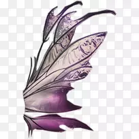 叶传奇生物-蝴蝶飘浮-空若网 叶传奇生物-蝴蝶飘浮-空若网