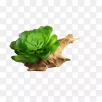 Ý«ÜÄ-¿ÕÈôÍø Ý«ÜÄ-¿ÕÈôÍø