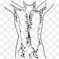 �ܰ�ϵͳ�˹��ܰ������ܰ͹��ܰͽ��״�-������