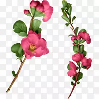 ÈËÔì²å»¨ÒÕÊõ.ÊÖ»æ×°ÊÎÆ·-¿ÕÈôÍø ÈËÔì²å»¨ÒÕÊõ.ÊÖ»æ×°ÊÎÆ·-¿ÕÈôÍø