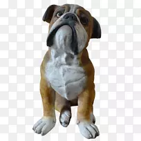 古老的英国斗牛犬,玩具斗牛犬谷,澳大利亚斗牛犬-空若网 古老的英国斗牛犬,玩具斗牛犬谷,澳大利亚斗牛犬-空若网