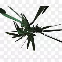 植物茎叶槟榔昆虫膜-创绿-空若网 植物茎叶槟榔昆虫膜-创绿-空若网