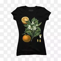 t恤连帽衫套衫袖-植物精华-空若网 t恤连帽衫套衫袖-植物精华-空若网