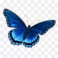 蝴蝶昆虫剪贴画-蝴蝶-空若网 蝴蝶昆虫剪贴画-蝴蝶-空若网