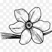 开花的山茱萸绘画剪贴画无艺术剪贴画杜鹃花-空若网 开花的山茱萸绘画剪贴画无艺术剪贴画杜鹃花-空若网