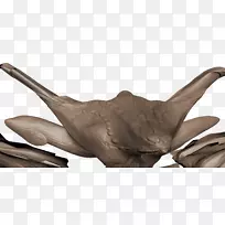 ½������ģ������-������