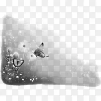 桌面壁纸显示分辨率高清晰度电视主题电脑显示器.Mata Ki照片-空若网 桌面壁纸显示分辨率高清晰度电视主题电脑显示器.Mata Ki照片-空若网