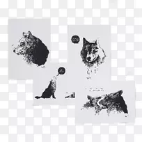 Ʒ�ư�ɫ����-������