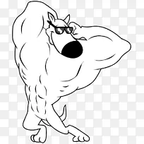 胡须犬繁殖鼻子猫狗-空若网 胡须犬繁殖鼻子猫狗-空若网