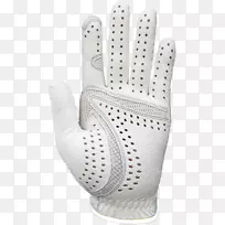 �߶������г���������Ա��ָ�߶���-������