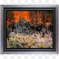 �ڰ����వ��-������