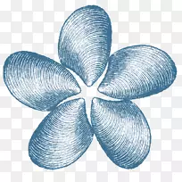 ŦԼ�۸��۲���-������