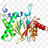 �����߶����������-������