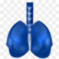 肺颅内压外周神经系统-空若网 肺颅内压外周神经系统-空若网