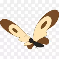 �������������-����-������