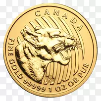 加拿大金枫叶金币-空若网 加拿大金枫叶金币-空若网