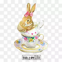 ˮ�ʻ��豭-������