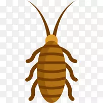 电话昆虫电脑图标中的蟑螂-蜜蜂-空若网 电话昆虫电脑图标中的蟑螂-蜜蜂-空若网