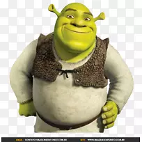 菲奥娜·史莱克公主系列动画-动画-空若网 菲奥娜·史莱克公主系列动画-动画-空若网