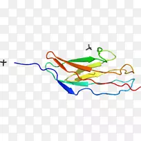 �ߵ������-��-������