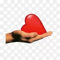 ���������ֽ������ָ��-������