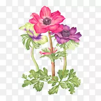 Ë®²Ê»Ë®²Ê»-¿ÕÈôÍø Ë®²Ê»Ë®²Ê»-¿ÕÈôÍø