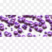 ������Ⱥ������˫��˾��Ͼ���-������