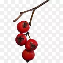 摄影下载剪辑艺术-空若网 摄影下载剪辑艺术-空若网