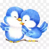 �񶯻�����-��-������