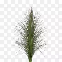 草坪纹理映射垫-无缝连接透明块-空若网 草坪纹理映射垫-无缝连接透明块-空若网