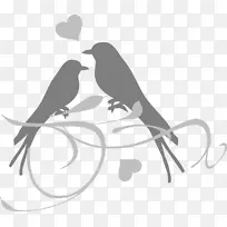 爱情鸟婚礼邀请函剪贴画-小鸟-空若网 爱情鸟婚礼邀请函剪贴画-小鸟-空若网